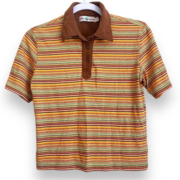 Miss Texwood Vintange Short Sleeve Brown Striped Polo Top Hip Length 70s Vibe LG - Picture 1 of 9